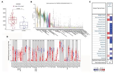 TMPRSS2 Correlated With Immune Infiltration Serves as a Prognostic Biomarker in Prostatic Adenocarcinoma: Implication for the COVID-2019